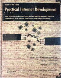 Image of Practical Intranet Development